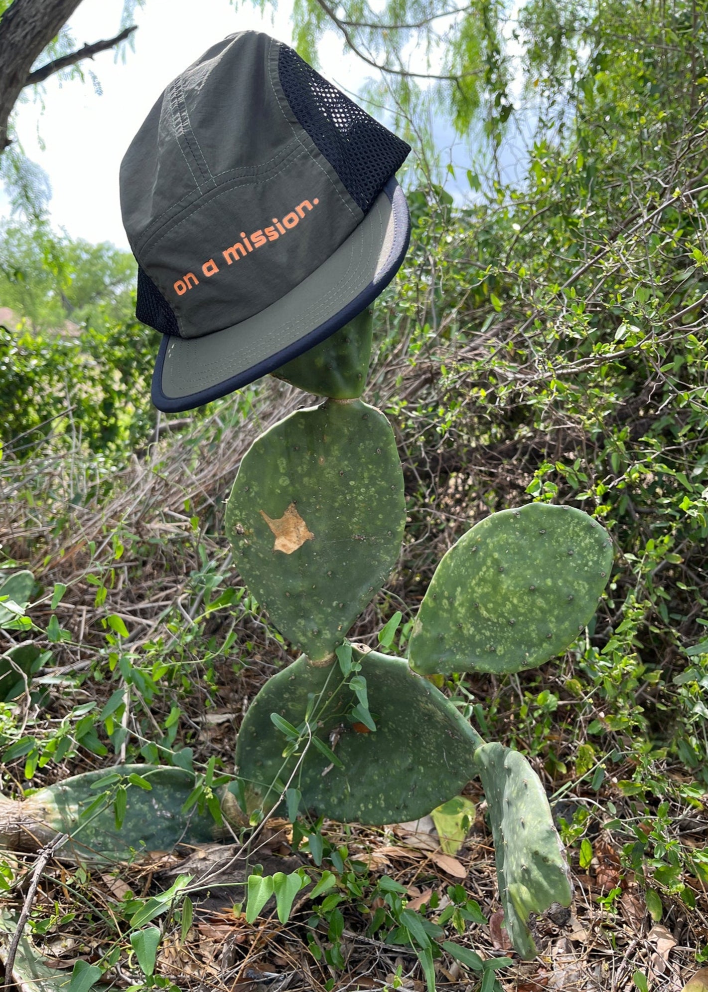 OAM Cap - Cypress Green